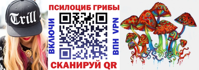 купить наркотик  Кондрово  Псилоцибиновые грибы Magic Shrooms 